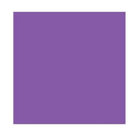 Esmalte - Wild Shine Nail Color - Who is Ultra Violet?